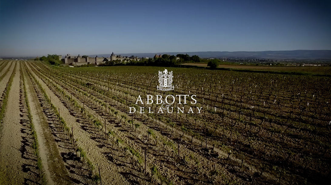 Video Abbotts & Delaunay
